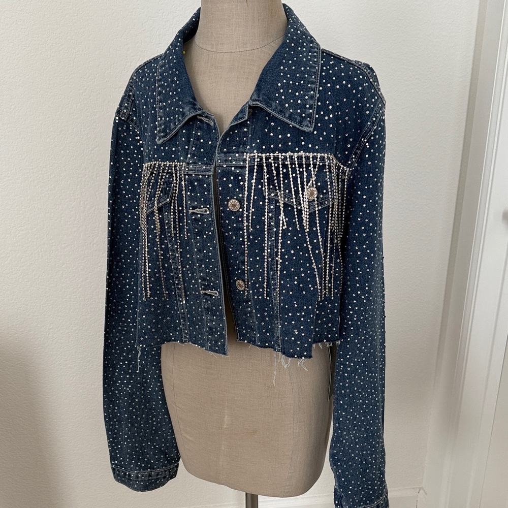 Embellished Rhinestone Fringe Jean Jacket - Picture 4 of 11